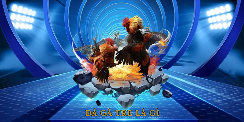 Đá Gà Tre Là Gì? Nguồn Gốc Và Đặc Điểm Nhận Biết